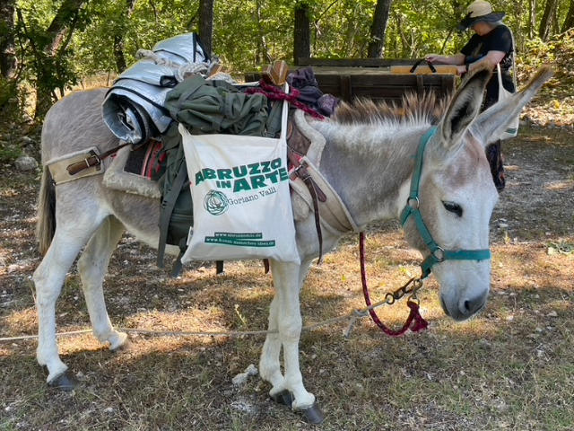 2025-abruzze-in-arte-24